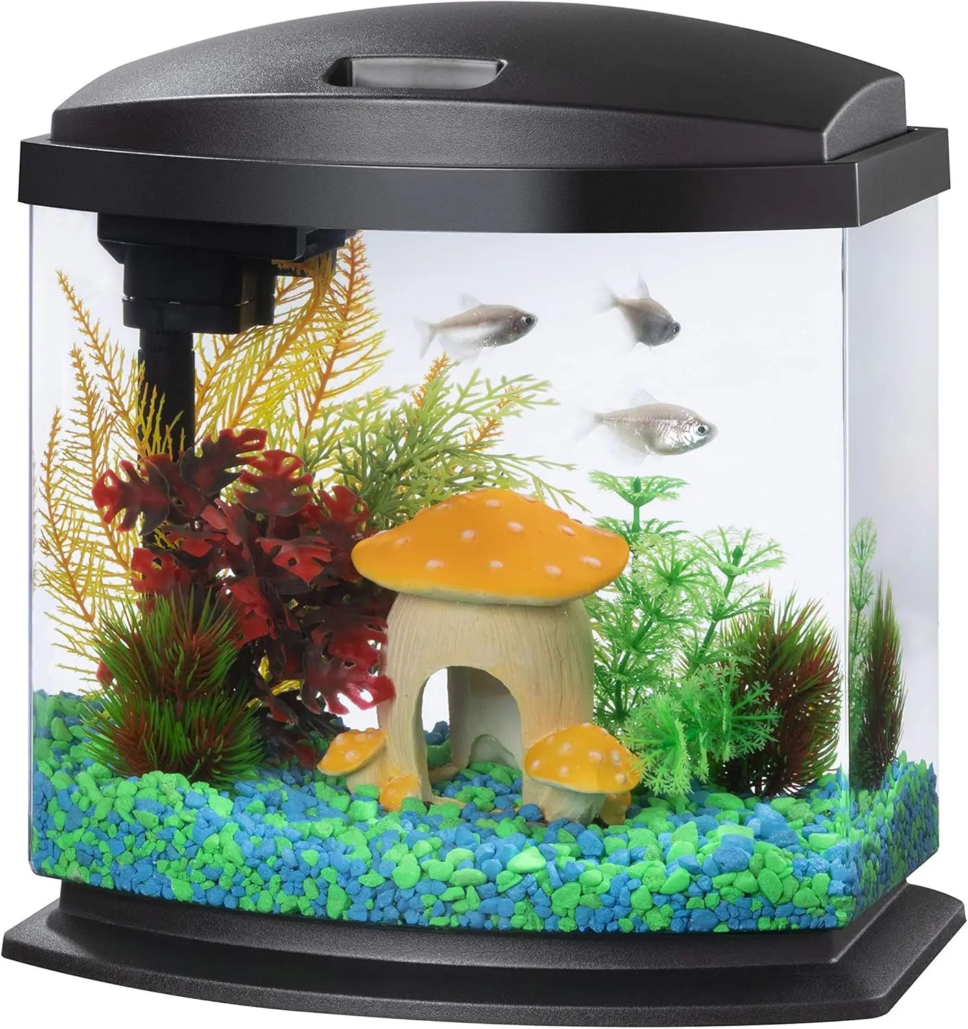 LED Small Aquarium Fish Tank SmartClean 5 Gallon