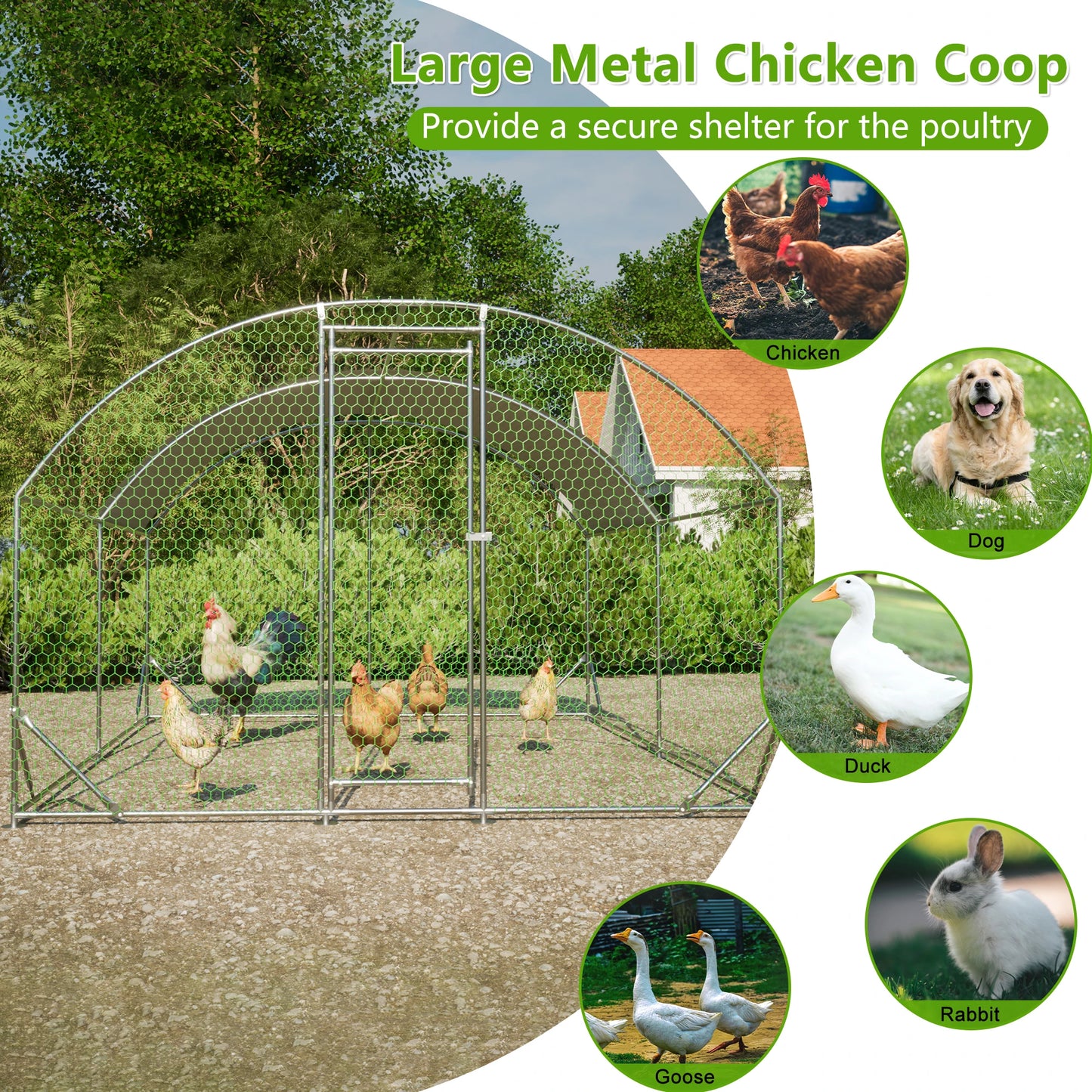 Large Chicken Coop Metal Waterproof Walk-in