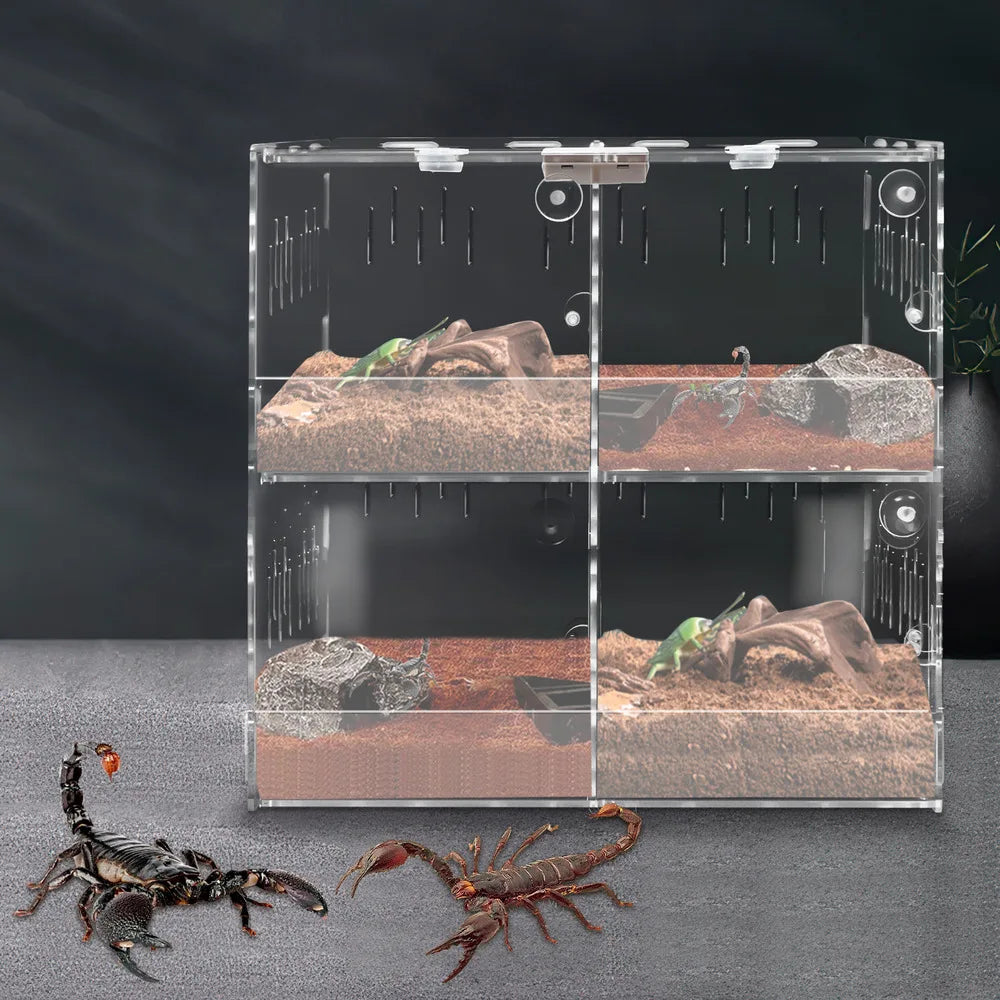 4-grid Clear Acrylic Reptile Terrariums Climbing W/ Thermometer